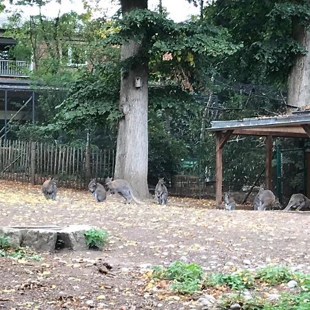 Ferienhaus Am Park Am Roehrensee ไบรอยท์ ภายนอก รูปภาพ