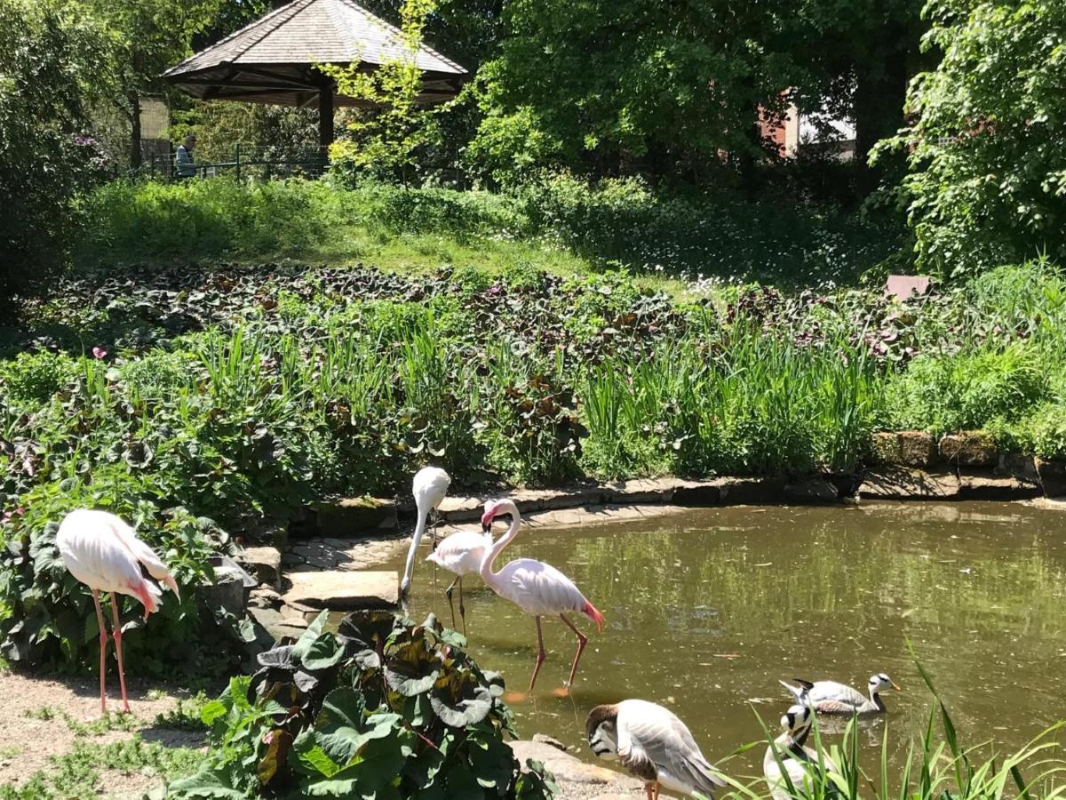 Ferienhaus Am Park Am Roehrensee ไบรอยท์ ภายนอก รูปภาพ