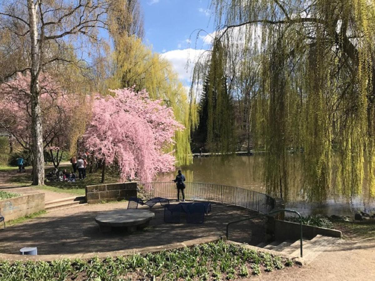 Ferienhaus Am Park Am Roehrensee ไบรอยท์ ภายนอก รูปภาพ
