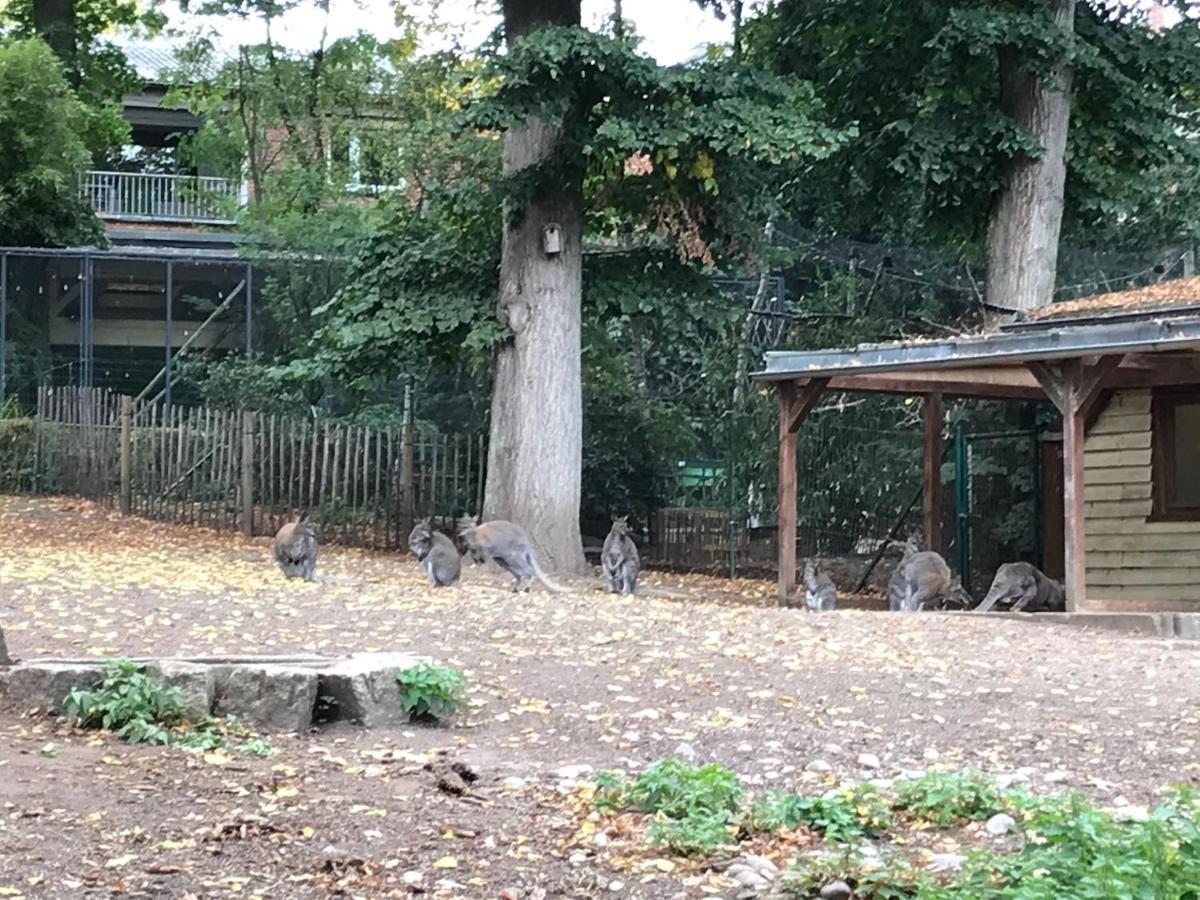 Ferienhaus Am Park Am Roehrensee ไบรอยท์ ภายนอก รูปภาพ